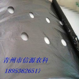 山東地區(qū)專業(yè)的銀黑雙色地膜 銀黑地膜圖片