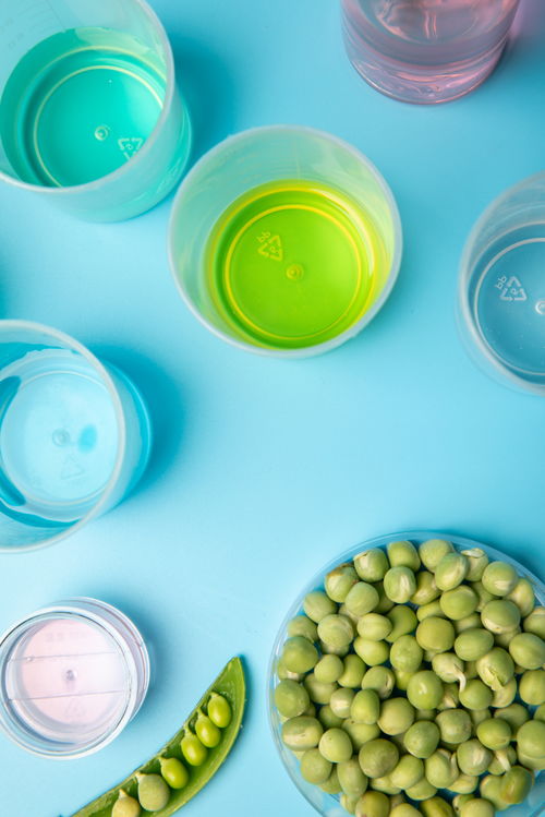 實驗試劑豌豆農業(yè)科技食品培育攝影圖 攝影圖 下載至來源處